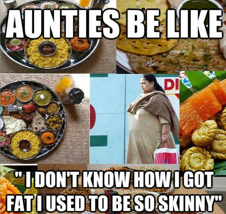 fat aunty skinny auntry